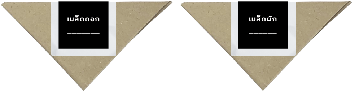 seed